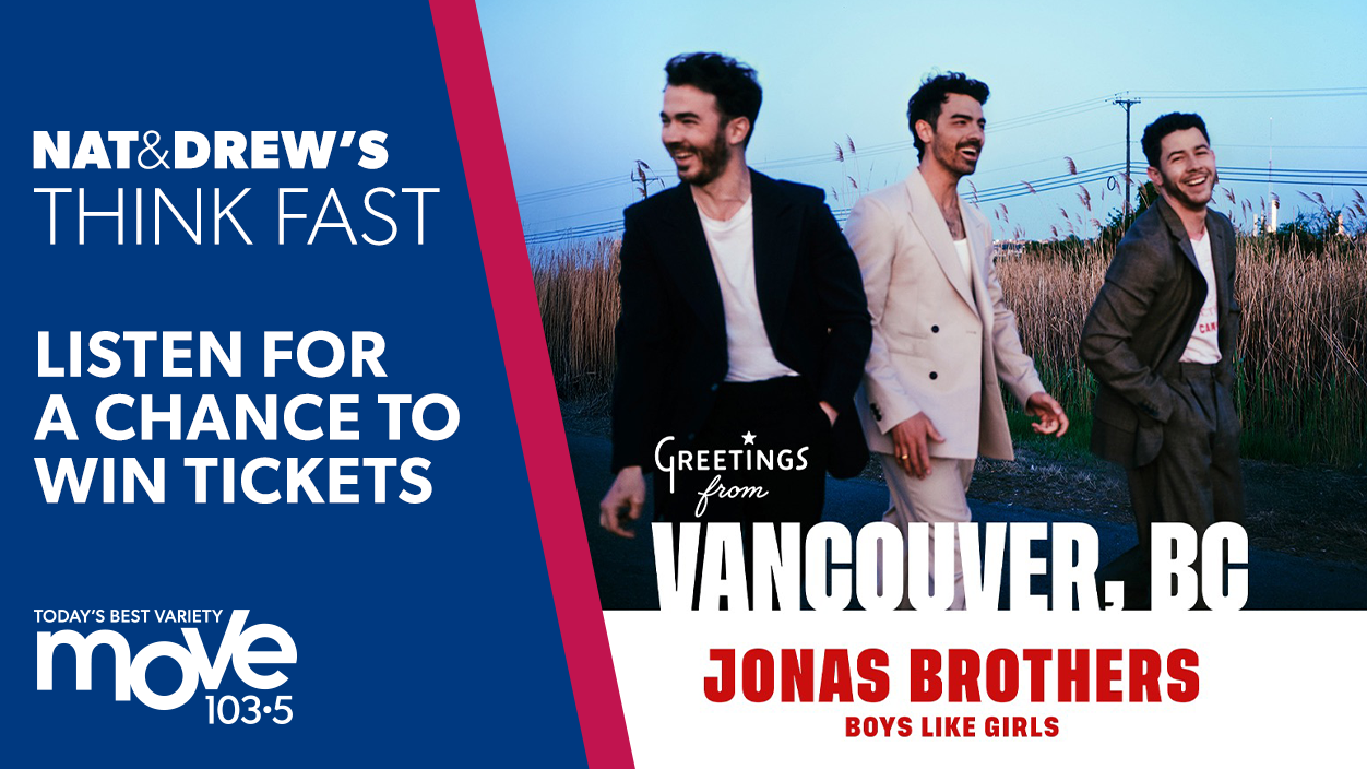 Jonas Brothers NDS