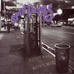 Two Princes by Spin Doctors