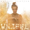 Fight Song by Rachel Platten