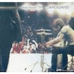 Lovefool by The Cardigans