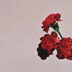 All of Me by John Legend