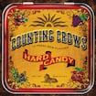 Big Yellow Taxi by Counting Crows feat. Vanessa Carlton